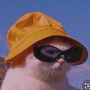 Meet your Posher, Marcella